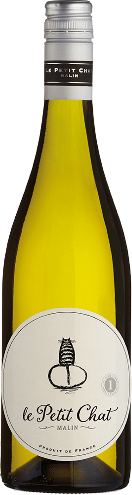 Le Petit Malin Chat Blanc